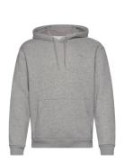 Hco. Guys Sweatshirts Hollister Grey