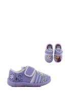 Frozen Houseshoe Leomil Purple