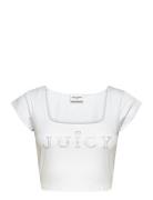 Regal Square Neck Cropped Tee Juicy Couture White