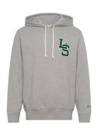 Standard Graphic Hoodie Ls Let LEVI´S Men Grey