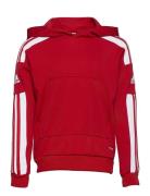 Squadra21 Hoody Youth Adidas Performance Red