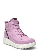 Urban Snowboarder ECCO Pink