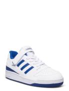 Forum Low C Adidas Originals White