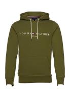 Tommy Logo Hoody Tommy Hilfiger Green