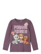 Nmfsusanne Pawpatrol Ls Top Box Cplg Name It Purple