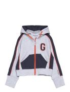 College Zip Hoodie Grey Mel Geggamoja Grey