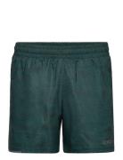 Aero 5 Inch Shorts 2XU Green