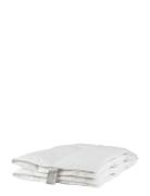 Lixra Sølv Moskusdyne, Lun Lixra White