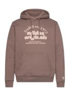 Grf Hoodie Adidas Originals Brown