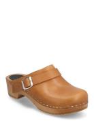 Fk X Sh Backstrap Clog Filippa K Brown