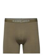 M Anatomica Boxers Icebreaker Green