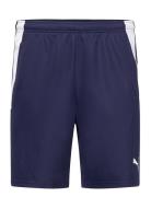 Teamliga Training Shorts 2 PUMA Navy