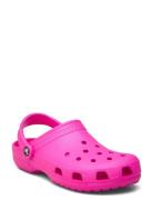 Classic Crocs Pink