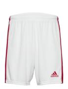 Squadra 21 Short Adidas Performance White