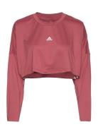 Hyperglam Cut 3-Stripes Lightweight Over D Sweatshirt Adidas Performan...