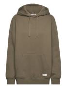 Centre Hoodie Björn Borg Khaki