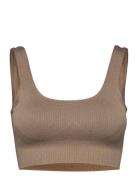 Espresso Ribbed Seamless Bra Aim´n Beige