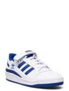 Forum Low Adidas Originals White