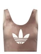 Bra Top Adidas Originals Brown