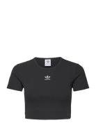 Rib Tee Adidas Originals Black