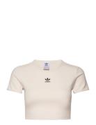 Rib Tee Adidas Originals Cream