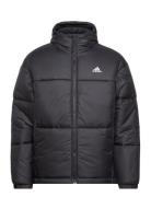 Bsc 3-Stripes Puffy Hooded Jacket Adidas Sportswear Black