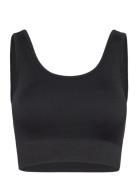 Soft Rib Seamless Crop Top Moonchild Yoga Wear Black