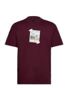 M All Day I Tee Adidas Sportswear Burgundy