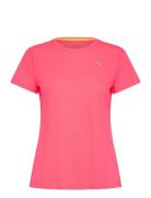 Run Favorites Velocity Tee W PUMA Pink