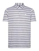 2 Clr Stripe Lc Adidas Golf White