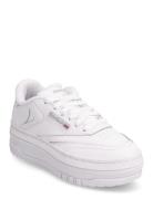 Club C Extra Reebok Classics White