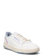 Phase Court Reebok Classics White