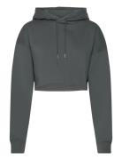 Studio Over D Cropped Hoodie Björn Borg Grey