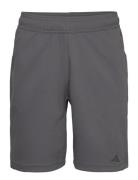 Yoga Base Training Short Adidas Performance Grey