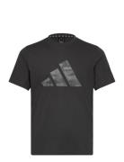 Adidas Train Essentials Camo Graphic Logo T-Shirt Adidas Performance B...