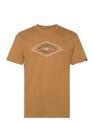 Qs Diamond Logo Ss Quiksilver Brown