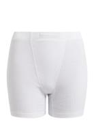 Soft Rib Shorts Key Rethinkit White