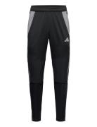 Tiro24 Winpnt Adidas Performance Black