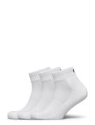 Backtee Ankle Sock BACKTEE White