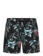 Mix & Match Cali Print 15'' Swim Shorts O'neill Black