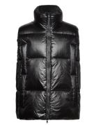 Down Vest Adidas Originals Black