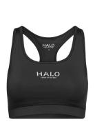 Halo Womens Bratop HALO Black