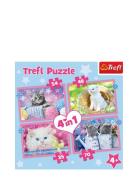 Trefl 4 I 1 35+48+54+70 Bit Fun Cats Trefl Patterned