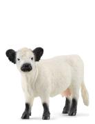 Schleich Galloway Cow Schleich Patterned