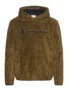 Hooded Top Champion Khaki