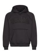 Hco. Guys Sweatshirts Hollister Brown