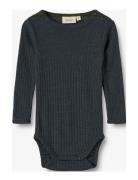 Wool Silk Body L/S Lucca Wheat Navy