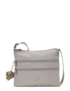 Alvar Kipling Grey