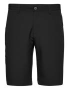 Pancras Shorts Lexton Links Black