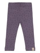 Legging Modal Dot Petit Piao Purple